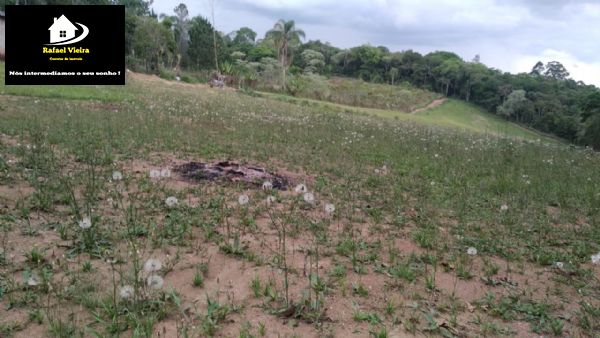 terreno industrial frente para rodovia